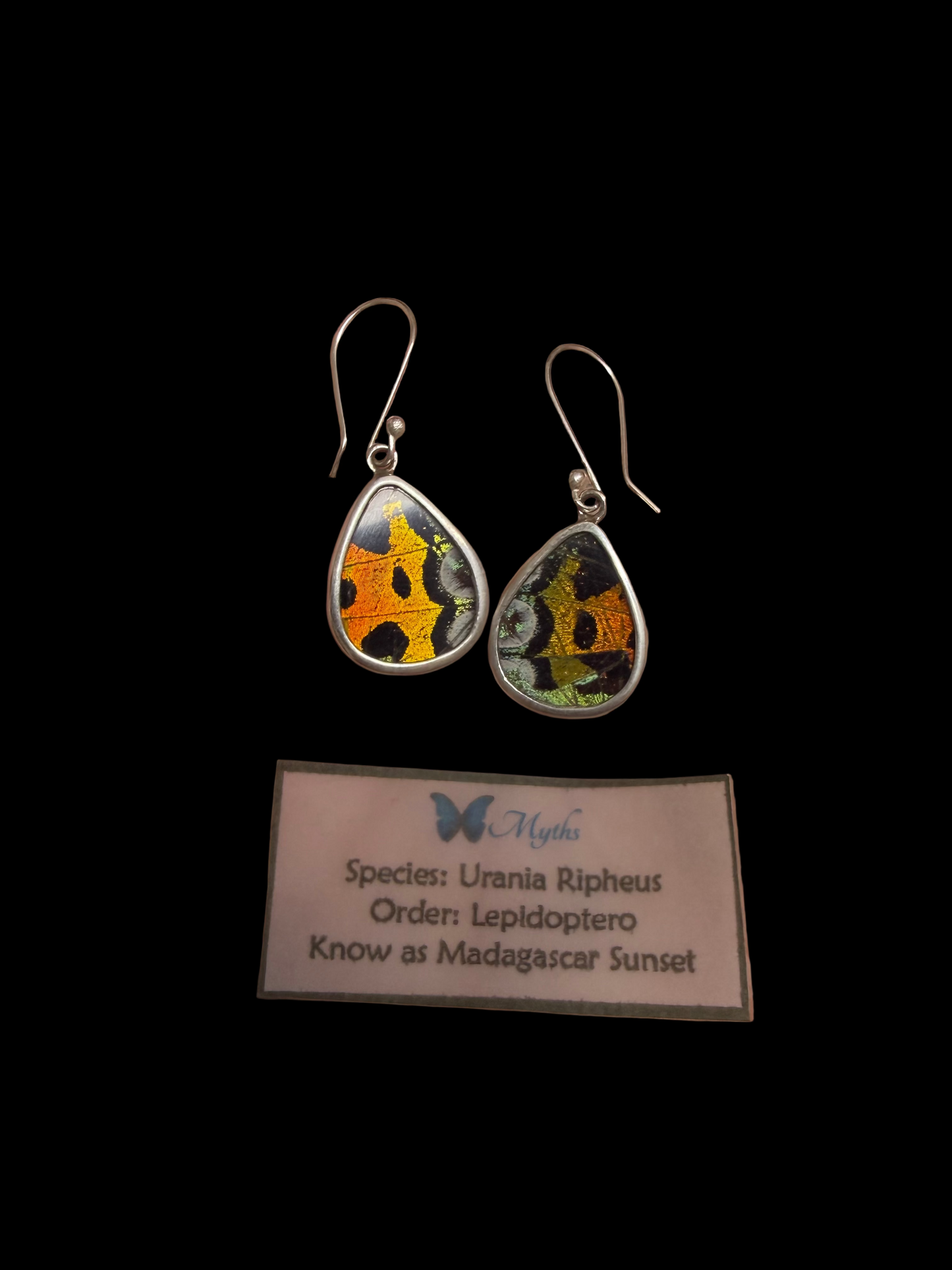 Sterling Silver Earrings