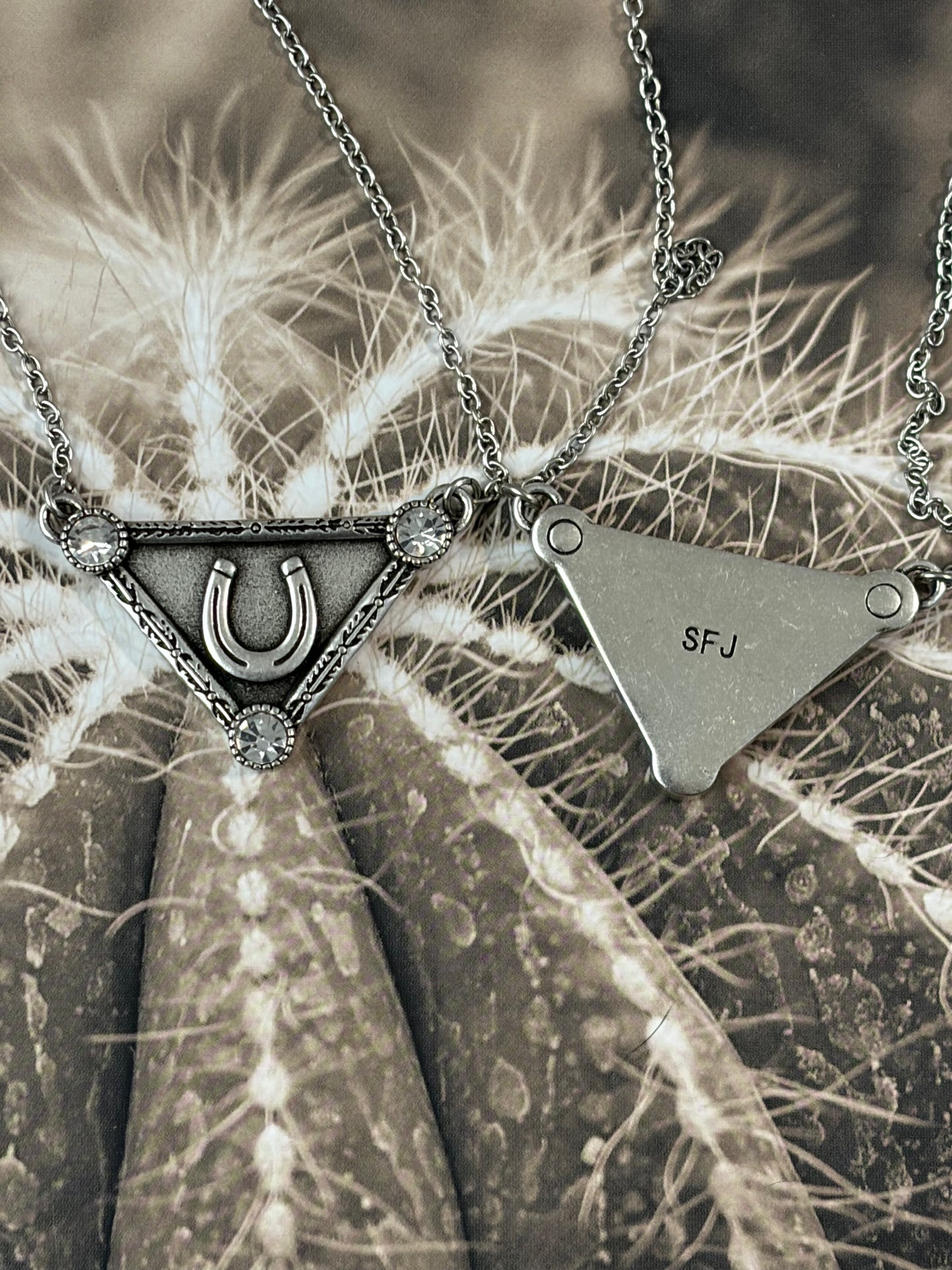 Desert Steel Western Designer Tag Necklace