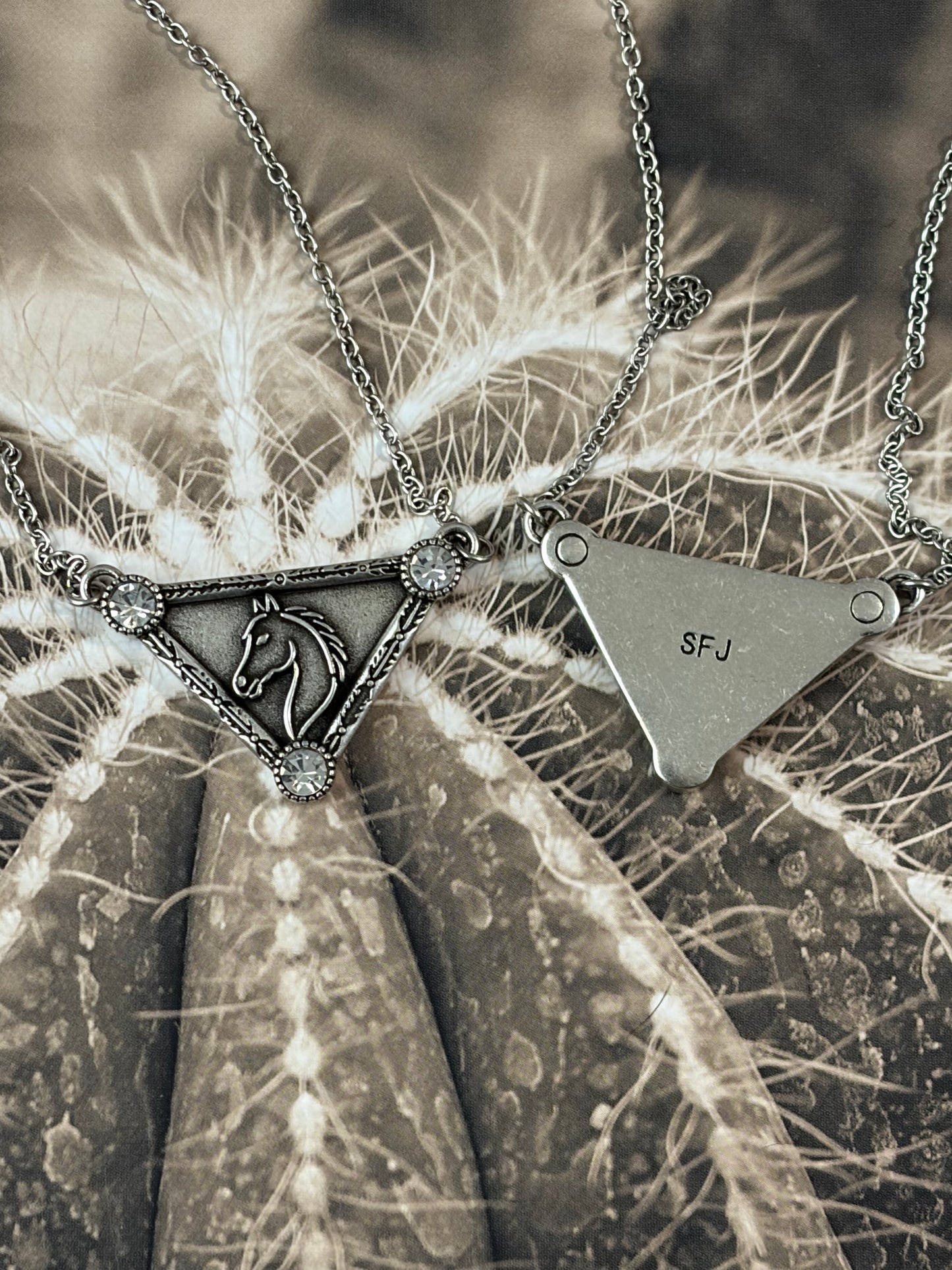 Desert Steel Western Designer Tag Necklace