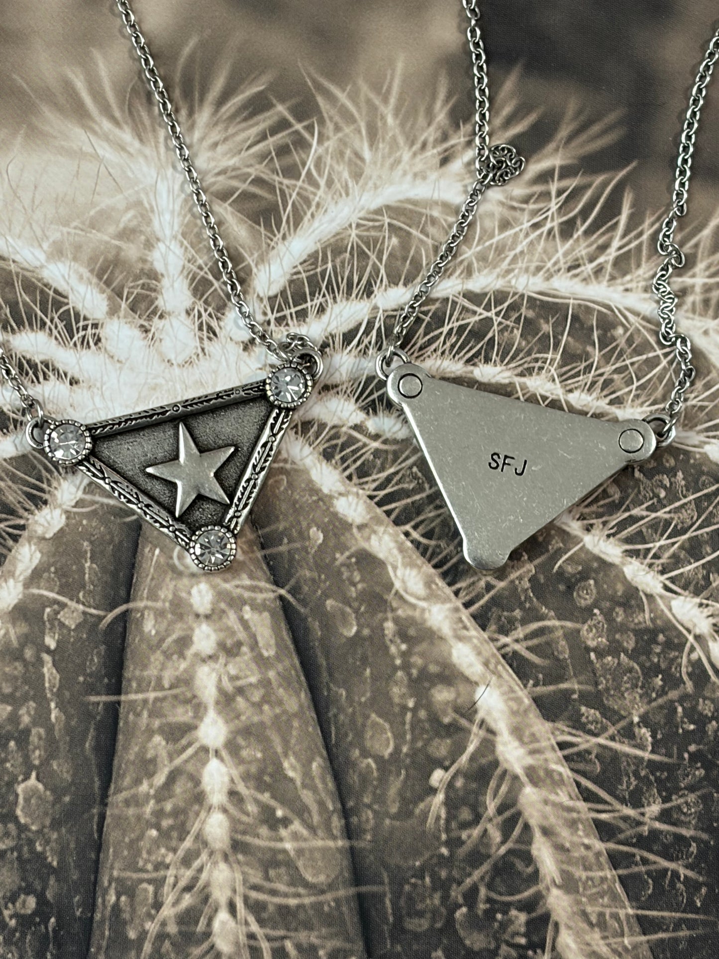 Desert Steel Western Designer Tag Necklace